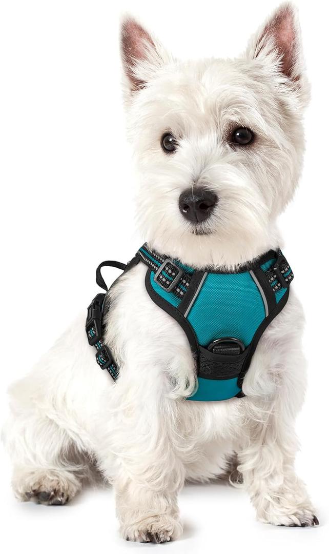 rabbitgoo Dog Harness No Pull with 2 Leash Clips, Adjustable Soft Padded, Reflective Oxford No Choke Pet Vest with Easy Control Handle for Puppy, Teal, XS (X-Small)