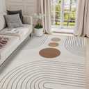 Boho Rug 3x5 Modern Geometric Minimalist Abstract Line Area Rug for Entryway Living Room Neutral Beige Mid Century Modern Machine Washable Non-Slip Printed Low-Pile Floor Carpet for Kitchen Bedroom