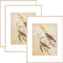 11x14 Picture Frame Set of 3, Brass Modern Aluminum Metal Photo Frame with HD Glass, Fits 8x10 with Mat or 11 x 14 without Mat, for Horizontal Wall Mounting