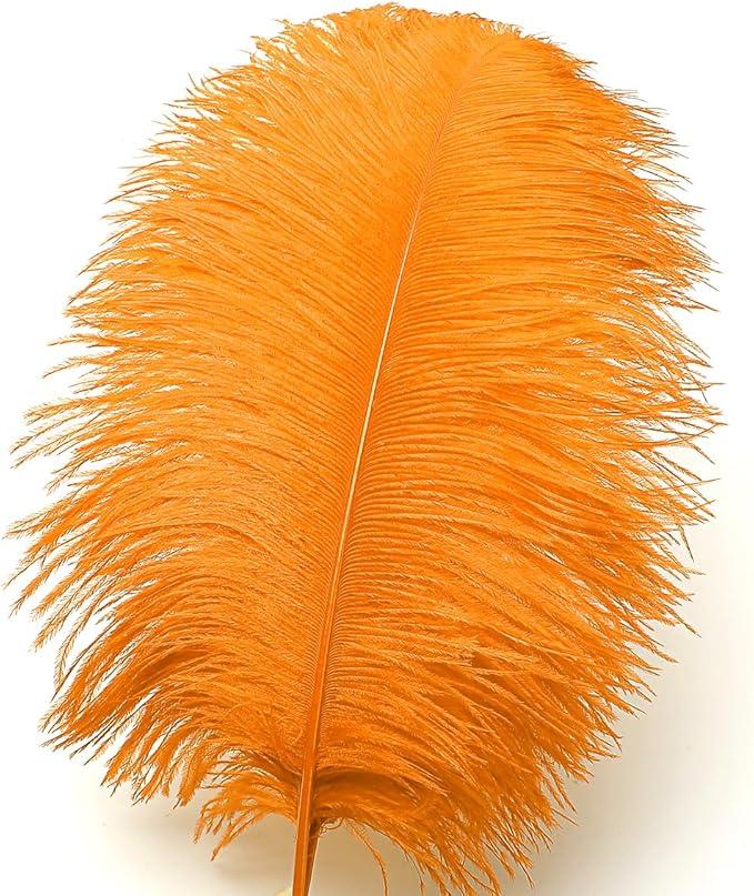 Ballinger Orange Large Ostrich Feathers - 24Pcs 10-12inch Large Orange Feathers for Vase,Wedding Party Centerpieces 