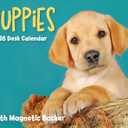 2026 Puppies Mini Box Calendar