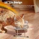 Hannadepot Elevated Cat Bowls, 15 Tilted Glass Raised Cat Food Bowl with Stainless Steel Stand, 2 Large Capacity Glass Cat Bowls and 4 Anti Slip Feet, Suitable for Cats and Little Dogs