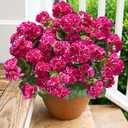 Artificial Geranium Fake Flowers for Outdoors Decoration, 6 Bundles Silk Geraniums Flower UV Resistant Look Real Faux Plants for Outside Planter Front Door Garden Patio Balcony Yard Home, Fuchsia