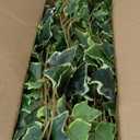 Hollyone 2pcs Artificial Hanging Plants 24" Fake Ivy Vine Faux Ivy Leaves Hanging Plant Greenery for Wall House Room Patio Indoor Outdoor Home Shelf Office Wedding Decor (Small-2 Pack, Small-style 1)