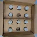 Air Wick Plug in Scented Oil Refill, 10ct, Summer Delights, Scented Oil, Air Freshener, Essential Oils, Eco Friendly