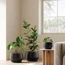 LE TAUCI Ceramic Planter, 10 Inch, Large Plant Pot, Indoor Plant Pot, Black