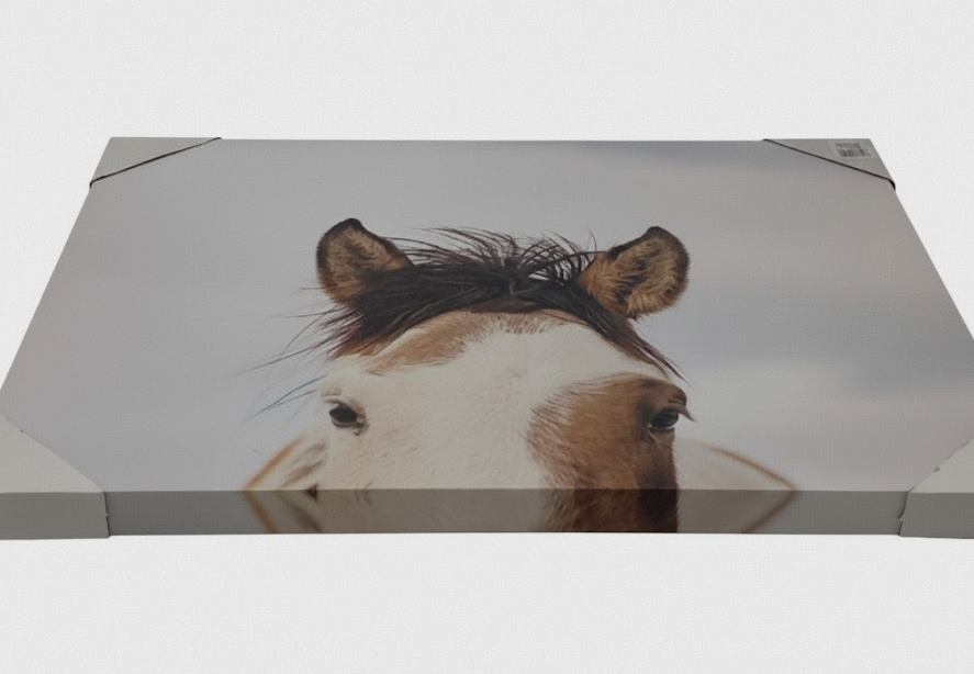 DI JLA 28X22 ITS In The Eyes CVS Art