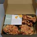 mizii 4Pcs Burnt Orange Artificial Hydrangeas Flowers Large Fake Silk Hydrangea Flower with Stems Realistic Faux Hydrangea Decorations for Wedding Table Centerpieces Vase Home Decor (Burnt Orange)