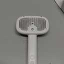 ROJECO 3-in-1 Pet Steam Brush for Cats & Dogs-Pet Spray Hair Removal Detangling Comb with Adjustable Mist, Handheld Deshedding Grooming Tool for Long/Short Hair, Massage Brush & Shedding Control, Cordless (White)