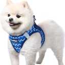 rabbitgoo Step-in Dog Harness, Puppy Vest for Small Sized Pet Easy Put on and off, Lightweight, Soft, Breathable Quick-Dry Air Mesh for Comfortable Secure Walking, Blue Zigzag, M