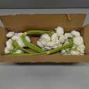Waipfaru Ranunculus Artificial Flowers, 18Pcs 14In Fake Peonies Artificial Flowers, White Faux Flower for Vase Silk Flower Real Touch Faux Peony Bulk for DIY Wedding Bouquet Home Bridal Shower Decor