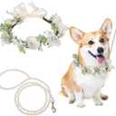 Dog Wedding Flower Collar with Pearls Beaded Leash,Elegant Dog Flower Headband,Dog Wedding Attire Wreath Bow,Pet Photo Prop (Medium)