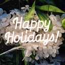 Happy Holiday Neon Sign for Wall Decor,15.4*8.3 Inches Dimmable Letter Neon Signs Warm White Led Neon Light Powered USB for University Dormitory, Room Decoration, Office, Holiday Party,DecoBrilliand