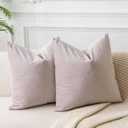 JUSPURBET Velvet Pillow Covers Set of 2 Decorative Throw Pillow Covers for Couch Sofa Bed Soft Cushion Covers Cases with Hidden Zipper for Living Room Home Decor 18x18 inch, Champagne