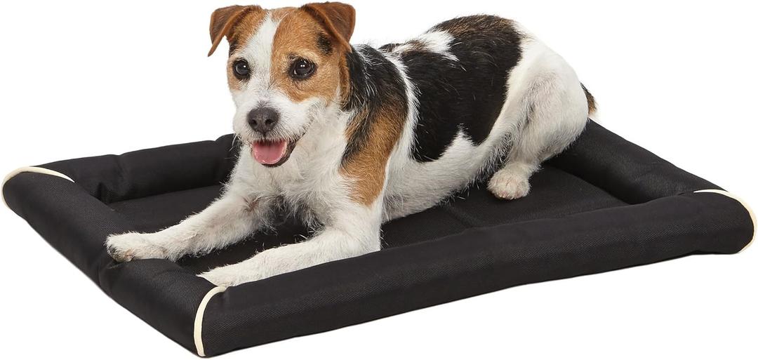 MidWest Homes for Pets Small QuietTime MAXX Ultra-Rugged Dog Bed, Water & Odor Resistant, Bolstered Edge, Non-Slip Bottom, Fits 24-inch Crates, Black