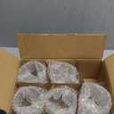 D.M DESIGN·MASTER [5 PACK,12 OZ - Premium Glass Coffee Mugs with Handle. Transparent Tea Glasses for Hot/Cold Beverages, Perfect Design for Americano, Cappuccino, Tea and Beverage.