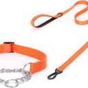 haoyueer Martingale Dog Collar with Stainless Steel Chain and Leash Set, Martingale Collar with Reflective, 5FT Double Handle Dog Leash Padded, Adjustable for Medium Large Dogs (L, Orange)