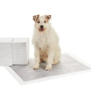 Basics Carbon OdorControl Dog and Puppy Pee Pads, 5Layer LeakProof Super Absorbent, QuickDry Surface, Potty Training, XLarge (28x34"), 50 Count, Gray