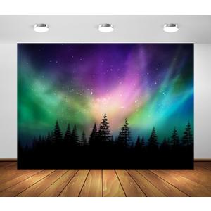 BELECO 5x3ft Fabric Colorful Northern Lights Backdrop Canadian Forest Aurora Borealis Night Sky Background Pine Trees Forest Polar Lights Backdrop Home Decor Photo Booth Studio Props (A18965)