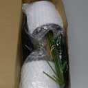 Der Rose 2 Pack 16" Fake Plants Artificial Tropical Plants Indoor Faux Greenery for Home Office Desk Bathroom Decor