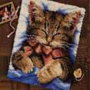 DL-YTG Latch Hook Kits Rug Cat Crochet Yarn Cushion Colour Pre-Printed Canvas Cover Rug Needlework DIY Hook and Latch Kit Home Decoration 20 X15inch