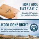 Women's Merino Hipster Brief By Woolly | RWS Certified | Soft, Breathable, Seattle Designed (Black)