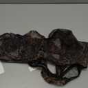 Lingerie Sets for Women Sexy Mesh Sheer Underwire Push Up See Through Lingerie Bra and Panty Sets XS-4XL (3X-Large, Black Leopard)