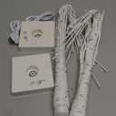 EAMBRITE Lighted Birch Tree Christmas Decorations Indoor for Home, 2Pack 24 LED Battery Operated/USB Tabletop Mini Small Artificial White Trees with Lights for Table Mantel Winter Xmas Decor (2FT)