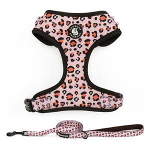 Dog Harness and Leash Set, Adjustable Dog Harness, Dog Leash, No Pull No Choke Puppy Harnesses for Walking Training for Pet, M