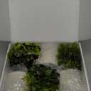 Der Rose 3 Pack Mini Potted Fake Plants Artificial Plastic Eucalyptus Plants Topiaries for Home Office Desk Farmhouse Shelf Room Bathroom Decor (Green)