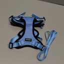 rabbitgoo Cat Harness and Leash for Walking, Escape Proof Soft Adjustable Vest Harnesses for Cats, Easy Control Breathable Reflective Strips Jacket, Light Blue,M