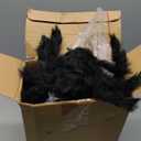 Halloween Decoration Outdoor 8 Pcs Giant Spider with 960 Sqft Stretchy Netting Spiderweb Set for Large Haunted Props Cobwebs Garden Yard Party (59, 24, 20, 12)(White,Black)