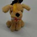 Graduation Dog Puppy with cap and certificate soft plush toy (2025)