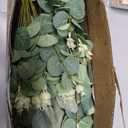 lovemoon 130 Pcs Artificial Mixed Eucalyptus Stems Bulk, 5 Kinds of Faux Greenery Eucalyptus Leaves Bulk for Vase Wedding DIY Bouquets Floral Arrangement Home Decor (130, Green)