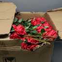 Riceshoot 500 Pcs Artificial Silk Roses Flowers with Long Stem Bridal Wedding Bouquet Realistic Floral Bulks for Garden Home Party Gifts Favor Decoration(Red)