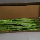 20PCS Fake Grass Filler Decor Artificial Grass Plants Outdoor Faux Plants Artificial Tall Shrubs Wheat Grass Greenery Stems UV Resistant Onion Grss For Outdoor Indoor Vase Planters Home Decor, Green