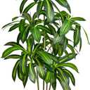 Artificial Dracaena Tree 5FT Tall Artificial Indoor Tree, Large Indoor Plant for Living Room & Home Decor, Big Faux Floor Plant for Bedroom, Office, Apartment, Realistic Tree Decor Indoor
