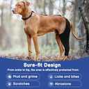 BARKLESS Single Dog Rear Leg Sleeve to Stop Licking, Breathable Male Female Dog Recovery Suit for Post Surgery, Comfortable Back Leg Sleeve for Wound Healing, Protective Cone Collar Alternative