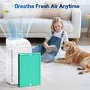 MSA3/MSA3S Pet Odor Replacement Filter Compatible with Membrane Solutions MSA3 and MSA3S Device, 4-Stage HEPA, 2 Pack