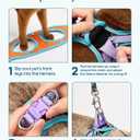 PetThem Upgraded Cat Harness and Leash Set - Step-in Escape Proof Adjustable Cat Harness, Comfortable Soft Lightweight, Reflective Harness for Walking, Travel, Camping (Butterfly Magic, S)