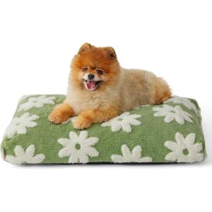 Lesure Small Dog Beds-Thick Shredded Chopped Foam Pet Bed Indoor with Removable Cover, Cute Modern Fuzzy Plush & Anti Slip Bottom, Green (24.0"L x 16.0"W x 2.5"Th)