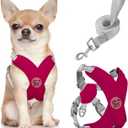 Pawaboo Small Dog Harness and Leash Set, Puppy Harness X-Frame No Pull No Choke, Dog Vest Harness Adjustable for Small Medium Sized Dogs, Soft Breathable Pet Harness for Walking Outing, S, Magenta
