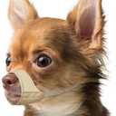 Mayerzon Short Snout Dog Muzzle, Muzzle for Chihuahua Shih Tzu American Bully Boxer Puppy, Soft Fabric Mouth Cover for Grooming Vet Visits, Prevent Biting Chewing Fighting (XS [Snout Cir: 5.5-6.25"], Khaki)