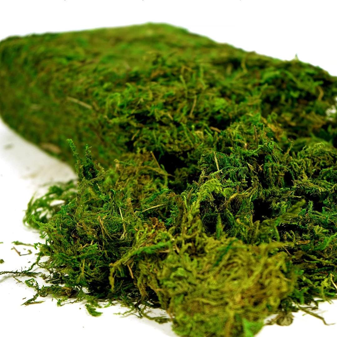 USMOLA Artificial Moss 16oz Fake Moss for Crafts, Fairy Gardens, Wedding & Party Decor, Centerpieces & Potted Plants (Fresh Green, 455g)