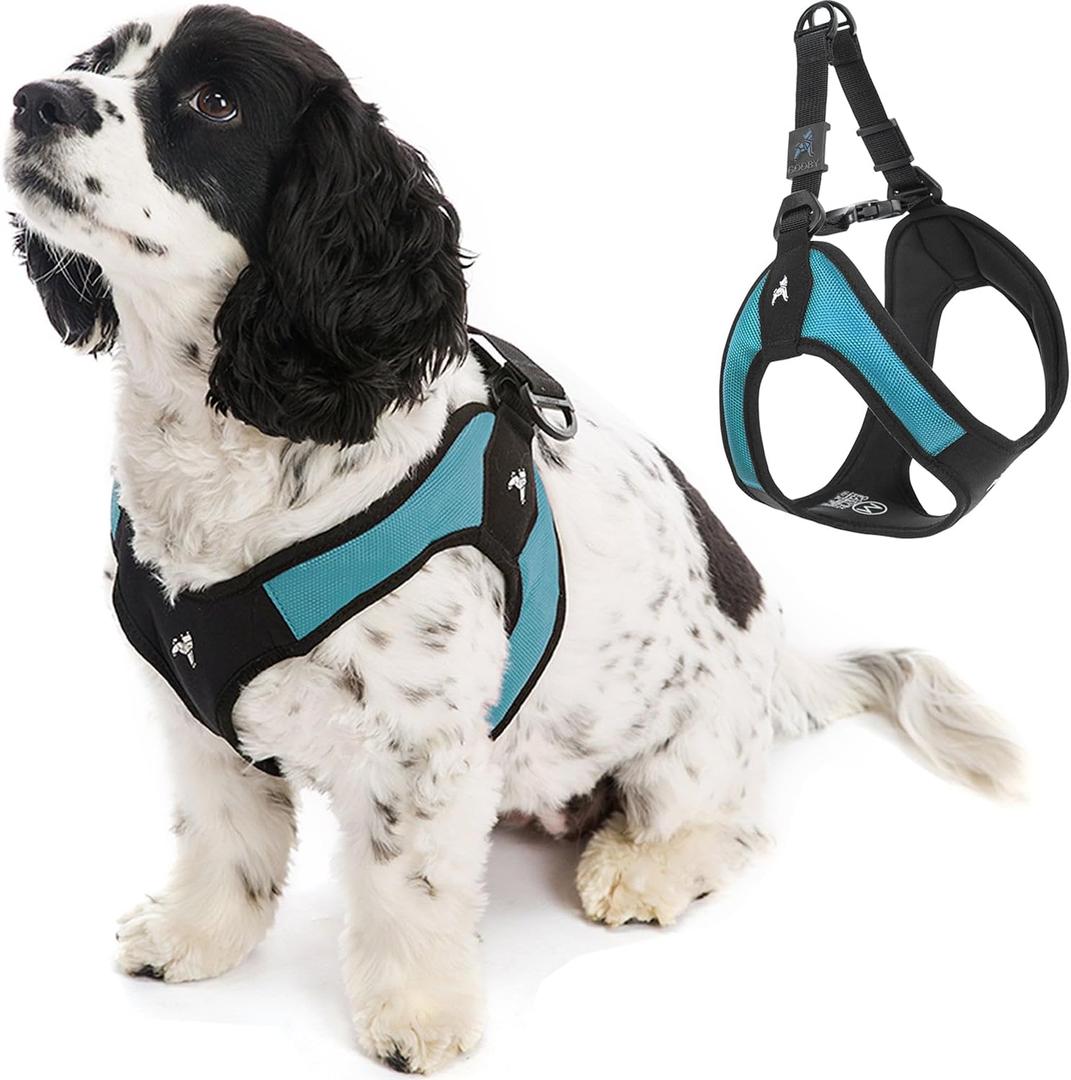 Gooby - Escape Free Easy Fit Harness, Small Dog Step-in Harness for Dogs That Like to Escape Their Harness, Turquoise, Small (Small chest (16~19.25"))