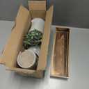 Winlyn Set of 3 Mini Artificial Potted Plants Faux Seeded Boxwood Greenery Arrangement with Wood Planter Box for Indoor Office Apartment Wedding Tabletop Decorations 8.5" Tall