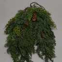 Pack of 5 Artificial Cedar Branches with Pine Cones 22" Long Faux Cypress Pine Stems DIY Crafts Winter Vase Fillers Christmas Greenery Picks for Indoor Outdoor Home Holiday Seasonal Decor (5, Green)