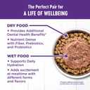 Wellness Complete Health Gravy and Minced Variety Pack Adult Canned Wet Cat Food, Natural, Protein Rich, Grain Free, Salmon, Tuna, and Chicken Recipes, 3 oz, Pack of 12 Cans (EXP 11/03/27)