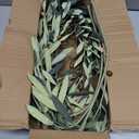 35inch Artificial Olive Branches for Vases,4pcs Faux Olive Branches with Fruits,Greenery Stems for Living Room Home Decor,Coffee Table Decor(Vase Not Included) (4pack)