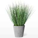 Torre & Tagus 16" Artificial Onion Grass in Textured Gray Round Pot, Faux Grass Plant & Tall Foliage Fake Grass Decor as Artificial Grass for Planters, 10" x 10" x 16" (Onion Grass Fake Plant)